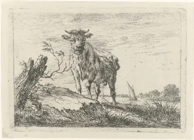 Stier aan rivieroever