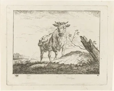 Stier aan rivieroever