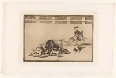 Stier aangevallen door honden