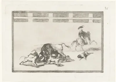 Stier aangevallen door honden