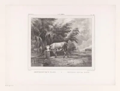 Stier bij een brug