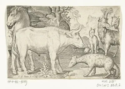 Stier en ander vee en hyena