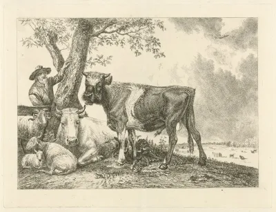Stier en boer