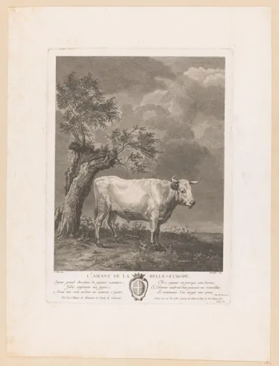 Stier in een landschap