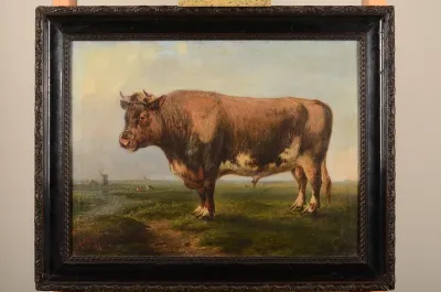 Stier in landschap