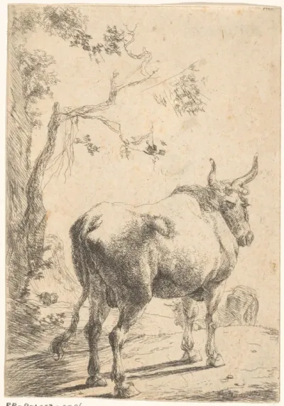Stier met twee koeien