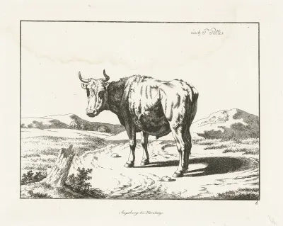 Stier staand bij boomstronk