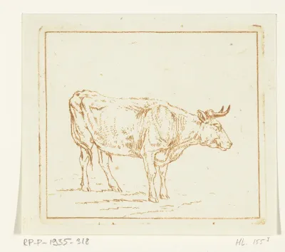 Stier staand, naar links
