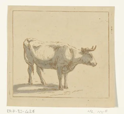 Stier staand, naar rechts