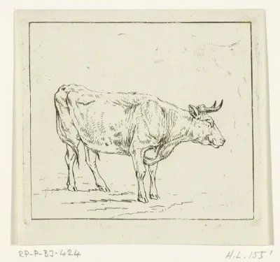 Stier staand, naar rechts