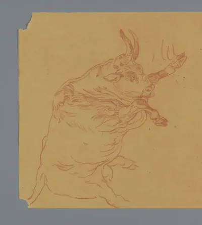 Stier