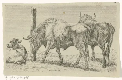 Stieren