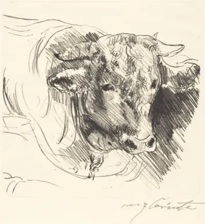 Stierkopf (Head of a Steer)