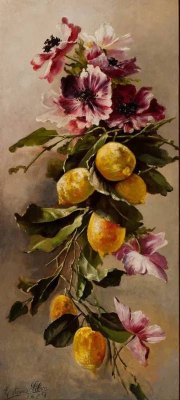 Still Life
