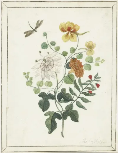 Still Life of Flowers