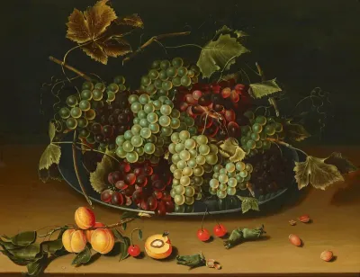 Still life of fruits with grapes on a pewter plate, apricots, cherries and nuts on a table