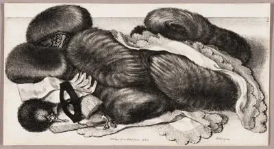 Still-Life with a Group of Muffs, a Pair of Gloves, and Two Kerchiefs