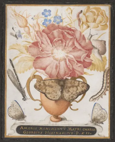 Still Life with Flowers, a Snail and Insects