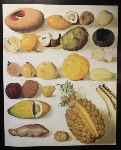 Still Life with Pineapple