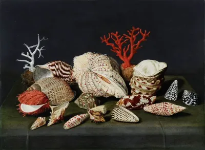 Still Life with Shells and Corals