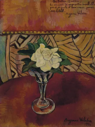 Still life with white rose