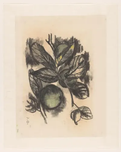 Stilleven met appels en bladeren van een appelboom