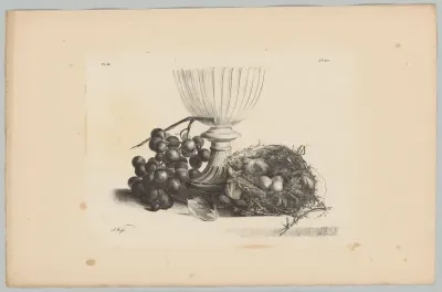 Stilleven met glas, druiven en vogelnest