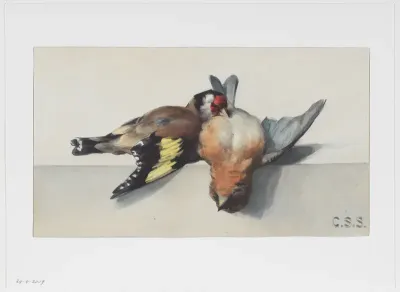 Stilleven met twee dode vogels