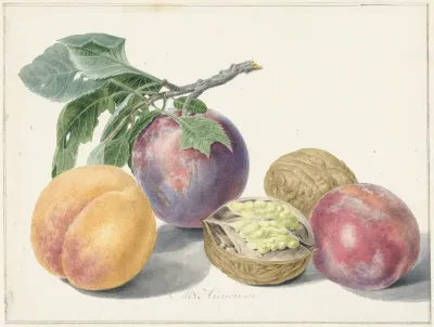Stilleven met vruchten