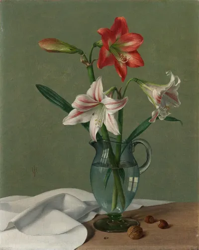 Stillleben mit Amaryllis im Glaskrug und Nüssen