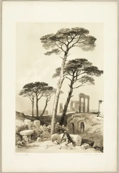 Stone Pines, from The Park and the Forest