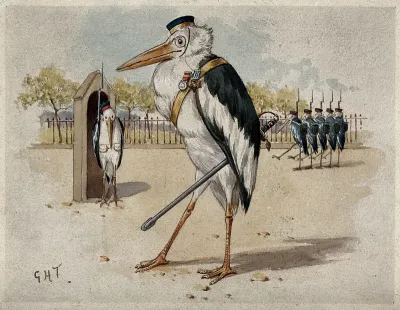 Storks dressed as guards