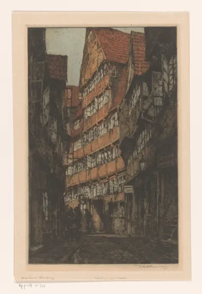 Straat met oude huizen te Hamburg