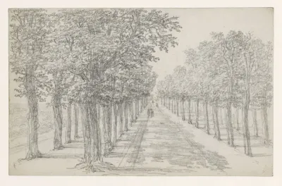 Straatweg met vier rijen bomen