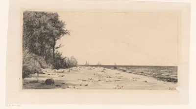 Strand met bomenrij aan water