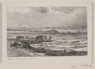 Stranden nord for Hornbæk. Der køres tang