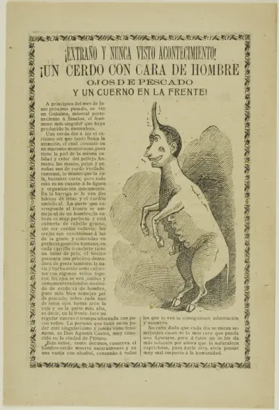 Strange and Unheard of Event! A Pig with the Face of a Man, Eyes of a Fish, and a Horn on His Forehead!