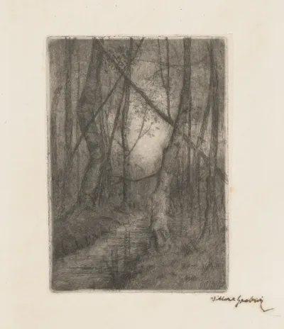 Stream in the Woods