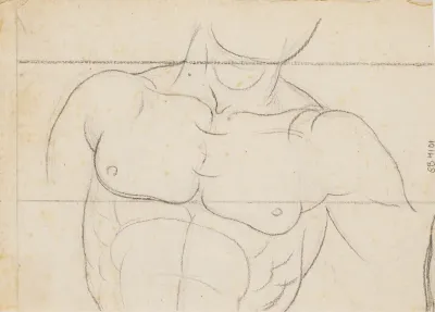 Studie af en mandetorso