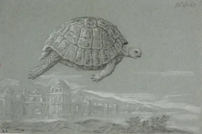 Studie af en skildpadde, og prospekt af en befæstet by ved havet (Venedig)