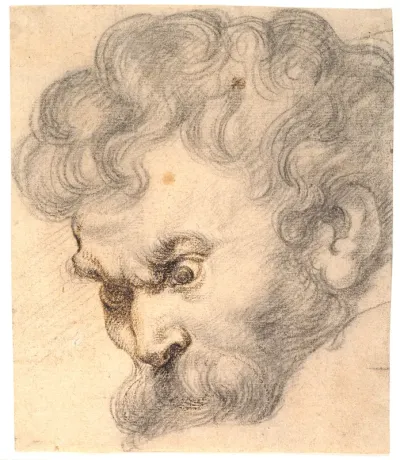 Studie fra "Samson og løven". Samsons ansigt
