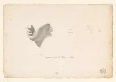 Studie naar de Venus van de' Medici