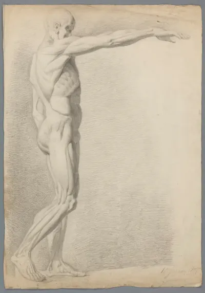 Studie naar een klassieke beeld
