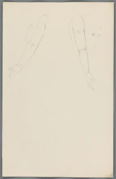 Studie van armen