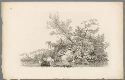 Studie van begroeiing bij een oever van een rivier met stenen