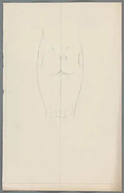 Studie van billen