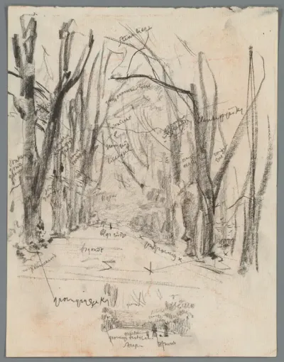 Studie van bomen