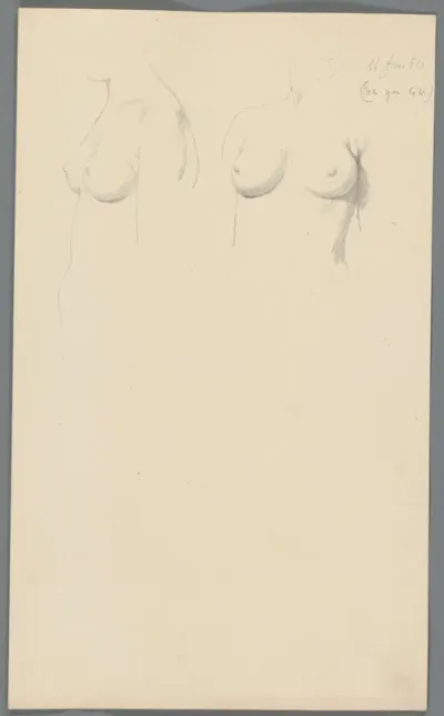 Studie van borsten
