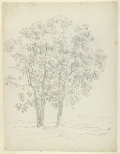 Studie van drie bomen