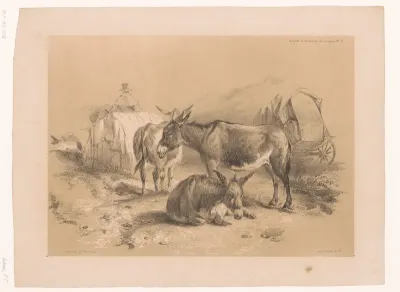 Studie van drie ezels